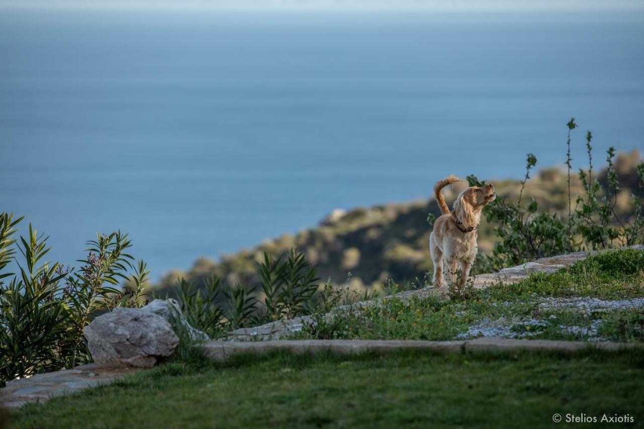 Aegean Panorama Apartments Akhladheri Luaran gambar